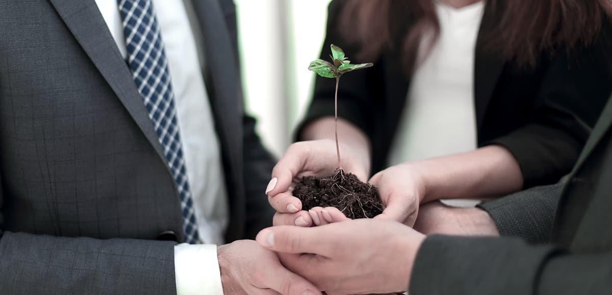 Digital Transformation richiede pazienza e cura