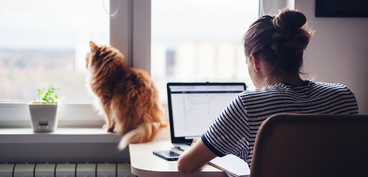 Corona Virus und Smart Working